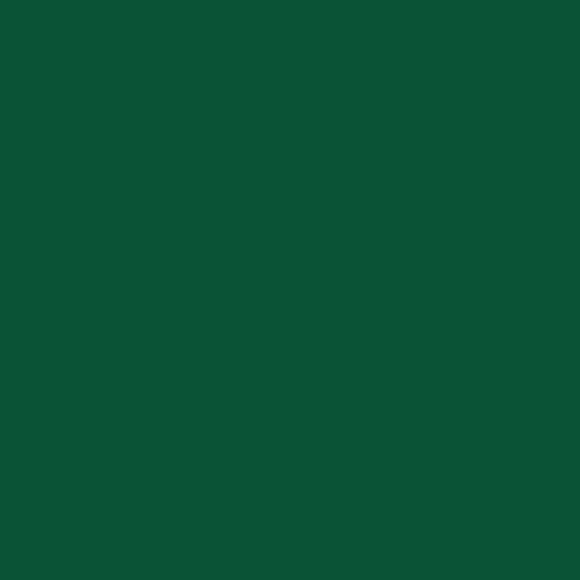 Forest Green - Oracal 651 24