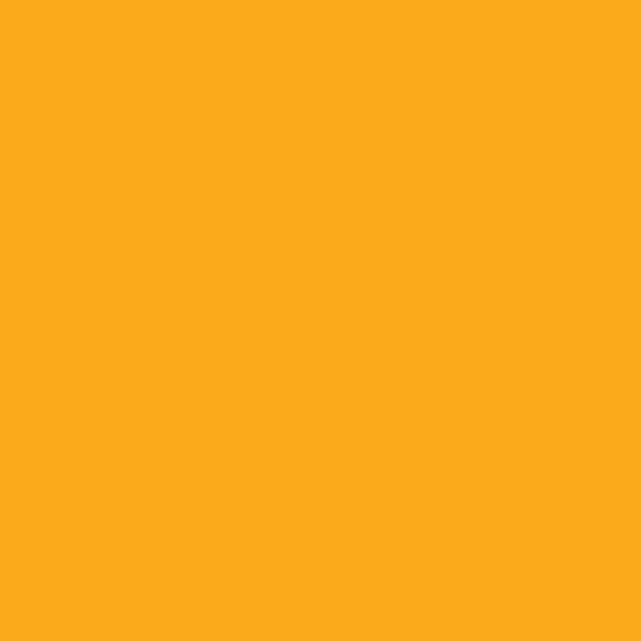 Golden Yellow - Oracal 651 24