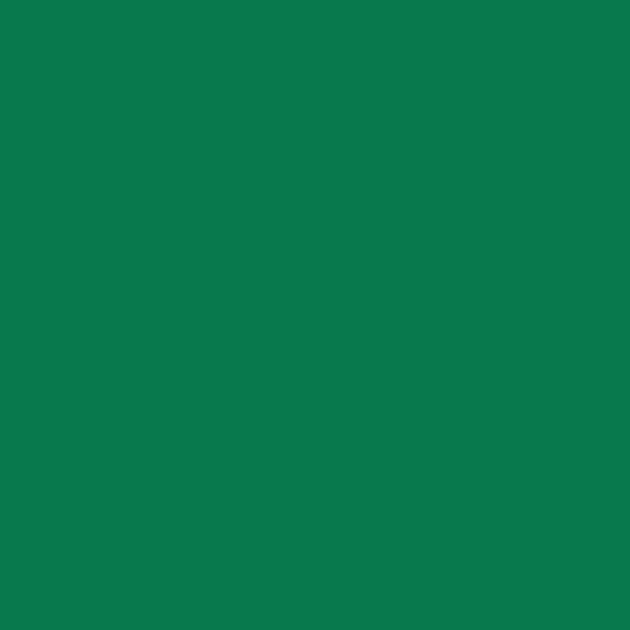 Green - Oracal 651 24