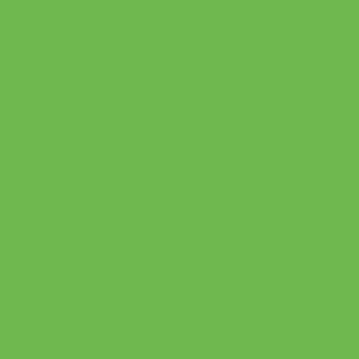 Green Apple - Siser EasyWeed 15