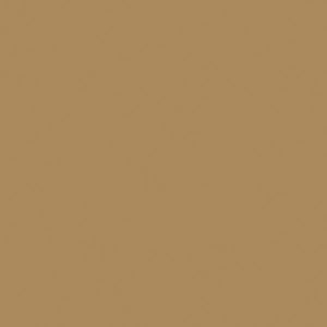 Light Brown - Oracal 651 12" - 081 - Champion Crafter 