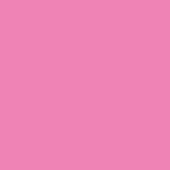 Soft Pink - Oracal 651 12