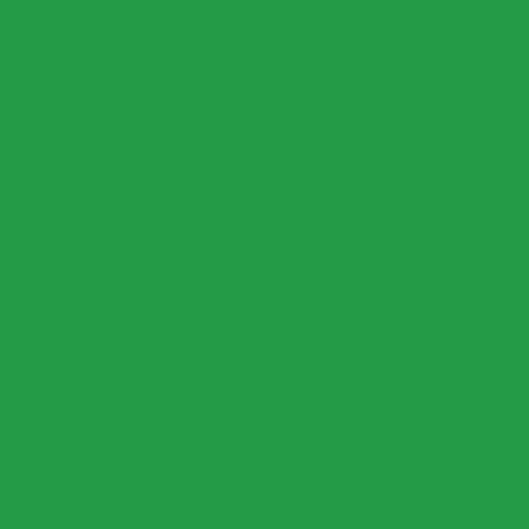 Yellow Green - Oracal 651 12