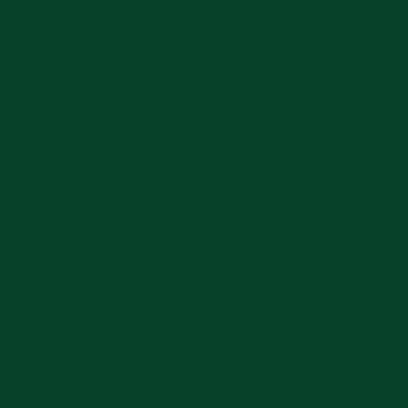 Dark Green - Oracal 651 24
