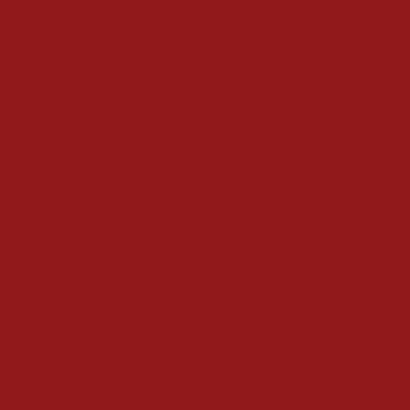 Dark Red - Oracal 651 24