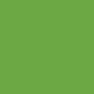 Lime Tree Green - Oracal 651 24" - 063 - Champion Crafter 