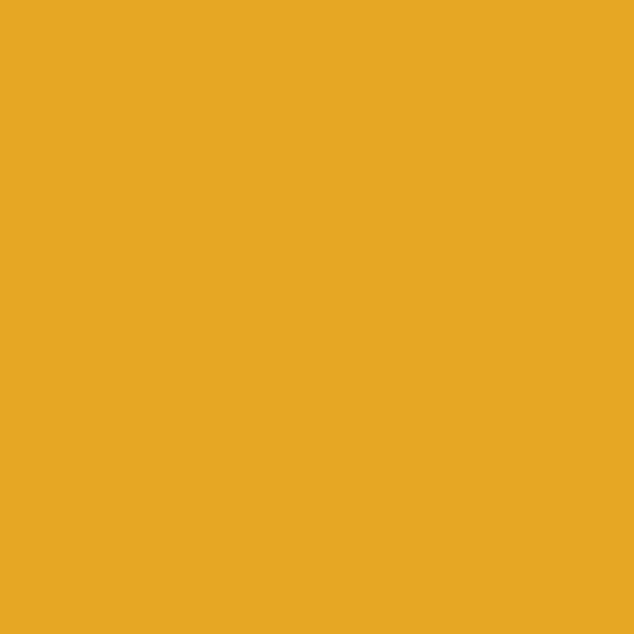 Signal Yellow - Oracal 651 24