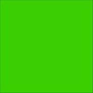 Oracal 6510 Fluorescent 069 Green - Champion Crafter and Sign Supply